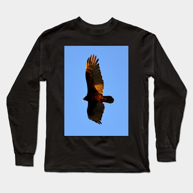 Turkey Vulture Long Sleeve T-Shirt by dltphoto